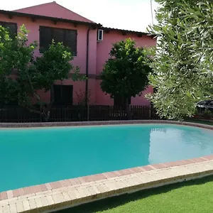 Paddeu Italia